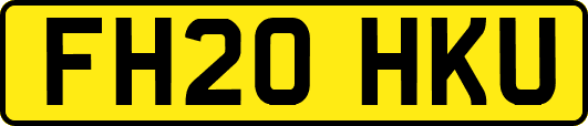 FH20HKU