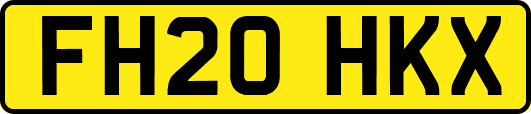 FH20HKX