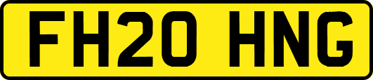 FH20HNG