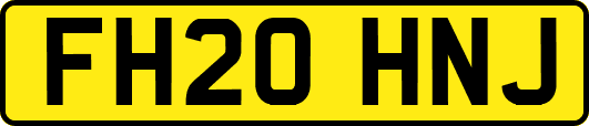 FH20HNJ