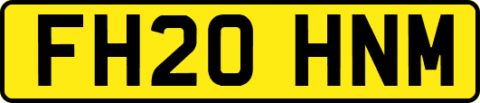 FH20HNM