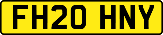 FH20HNY