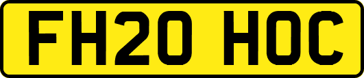 FH20HOC