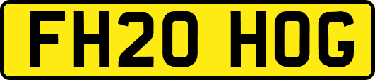 FH20HOG