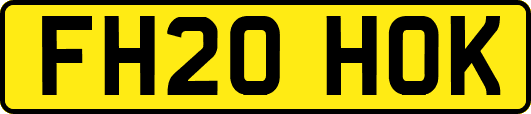FH20HOK