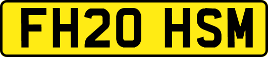 FH20HSM