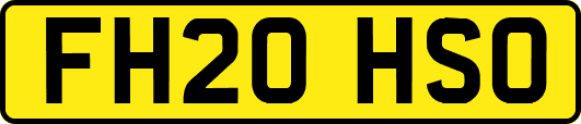 FH20HSO