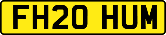 FH20HUM