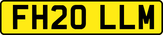 FH20LLM