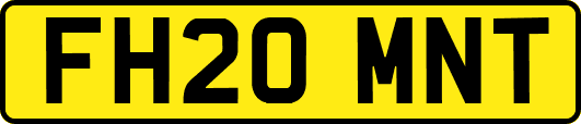 FH20MNT