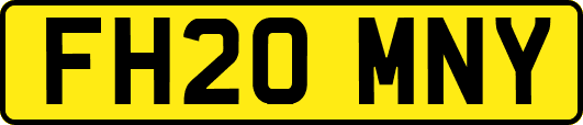 FH20MNY