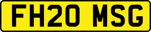 FH20MSG