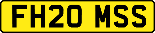 FH20MSS