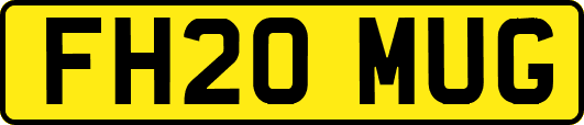 FH20MUG