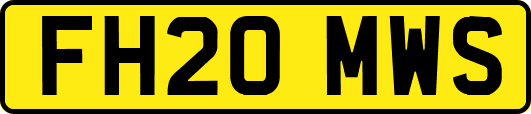 FH20MWS