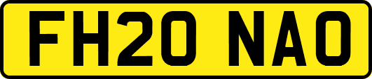 FH20NAO