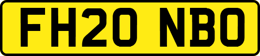 FH20NBO