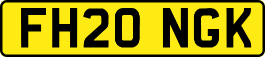 FH20NGK