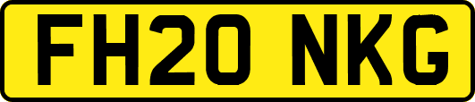 FH20NKG