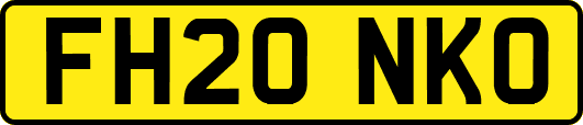 FH20NKO