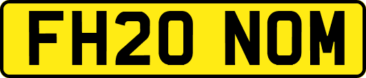 FH20NOM
