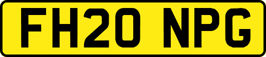 FH20NPG