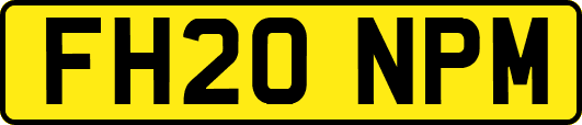 FH20NPM