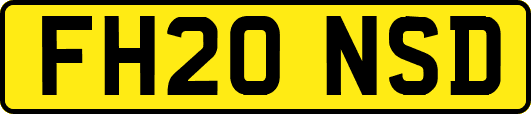 FH20NSD