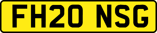 FH20NSG
