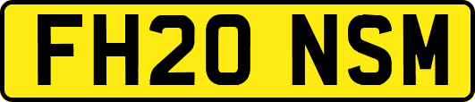 FH20NSM