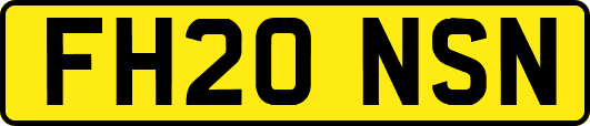 FH20NSN