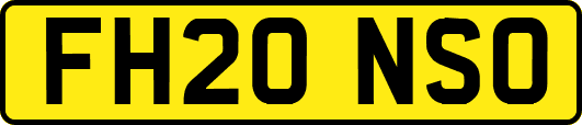 FH20NSO