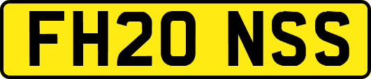 FH20NSS