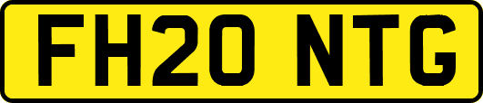 FH20NTG