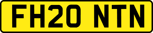 FH20NTN
