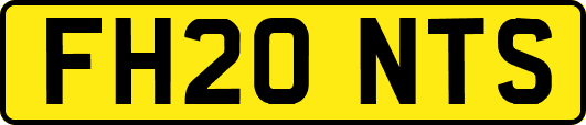 FH20NTS