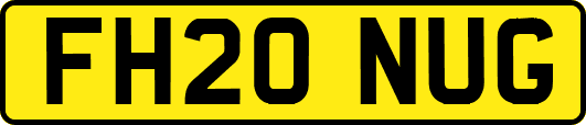 FH20NUG