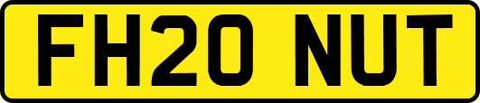 FH20NUT