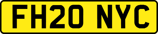 FH20NYC