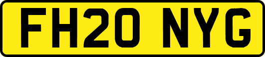 FH20NYG
