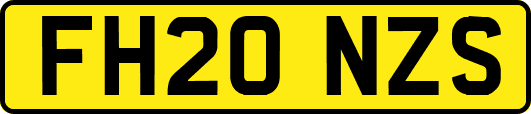 FH20NZS