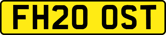 FH20OST