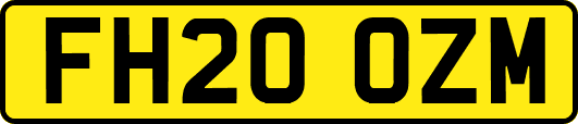 FH20OZM
