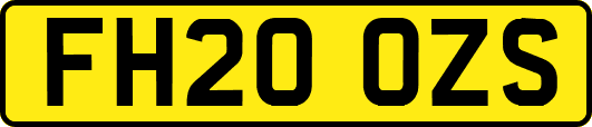 FH20OZS