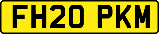 FH20PKM