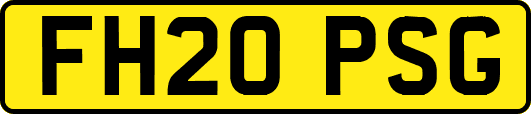 FH20PSG