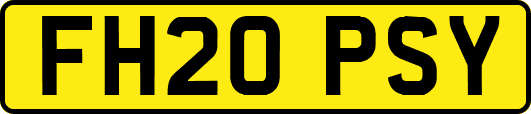 FH20PSY