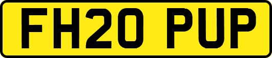 FH20PUP