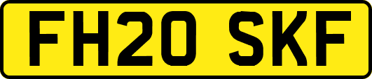FH20SKF