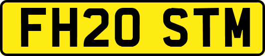FH20STM
